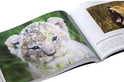 "Kenya, Rêve et Réalité"