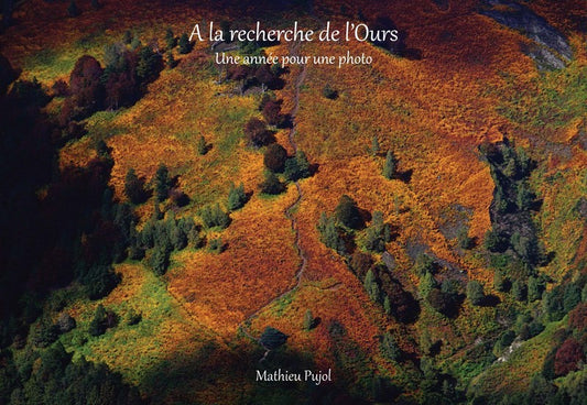 "A la recherche de l'Ours, une année pour une photo"
