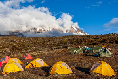 "Sur les pentes du Kilimandjaro"