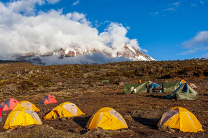 "Sur les pentes du Kilimandjaro"