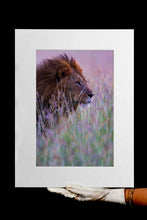 Charger l&#39;image dans la galerie, Lion pastel
