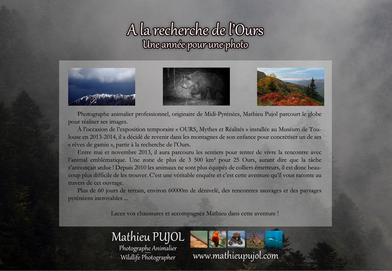 "A la recherche de l'Ours, une année pour une photo"